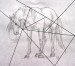 99ff03f432_82831016_o2